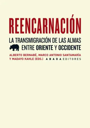 REENCARNACIÓN REENCARNACIÓN