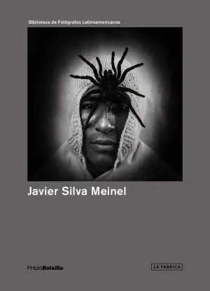 JAVIER SILVA MEINEL JAVIER SILVA MEINEL