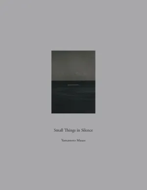 SMALL THINGS IN SILENCE SMALL THINGS IN SILENCE