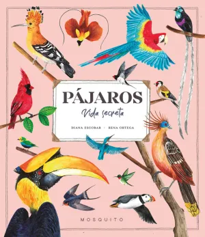 PÁJAROS. VIDA SECRETA PÁJAROS. VIDA SECRETA