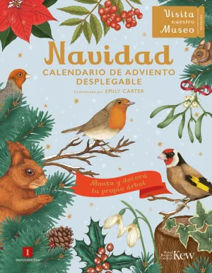 NAVIDAD NAVIDAD