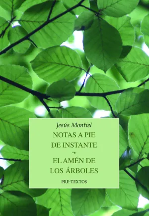 NOTAS A PIE DE INSTANTE/ EL AMEN DE LOS ARBOLES