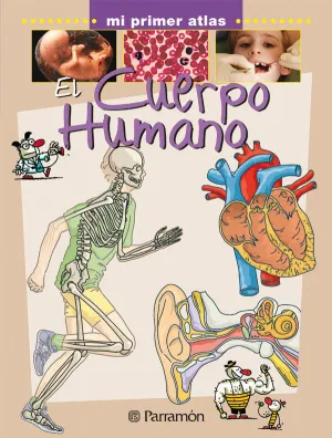 EL CUERPO HUMANO