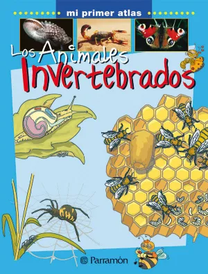 LOS ANIMALES INVERTEBRADOS