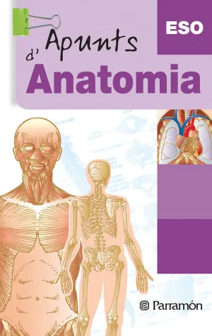 APUNTS D'ANATOMIA