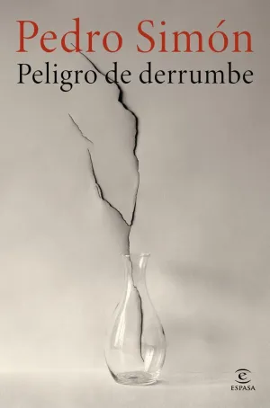 PELIGRO DE DERRUMBE