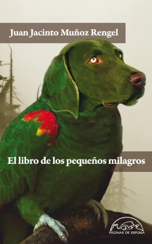 EL LIBRO DE LOS PEQUEÑOS MILAGROS EL LIBRO DE LOS PEQUEÑOS MILAGROS