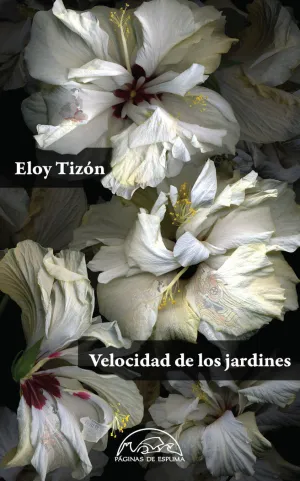 VELOCIDAD DE LOS JARDINES (EDICIÓN NUMERADA) VELOCIDAD DE LOS JARDINES (EDICIÓN NUMERADA)