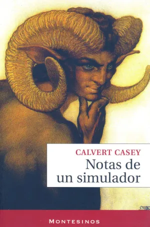 NOTAS DE UN SIMULADOR NOTAS DE UN SIMULADOR