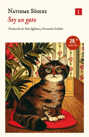SOY UN GATO