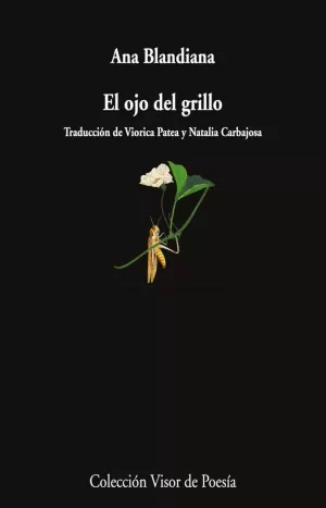 EL OJO DEL GRILLO EL OJO DEL GRILLO
