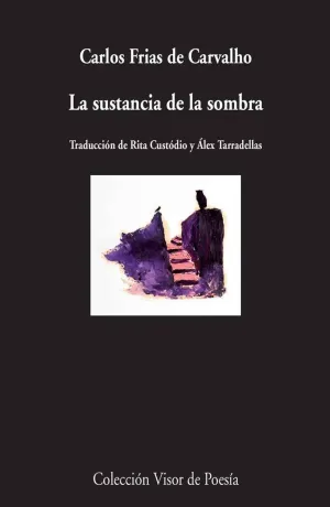 LA SUSTANCIA DE LA SOMBRA