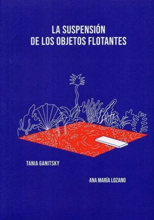 LA SUSPENSIÓN DE LOS OBJETOS FLOTANTES