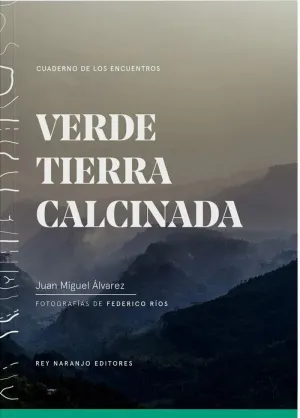 VERDE TIERRA CALCINADA